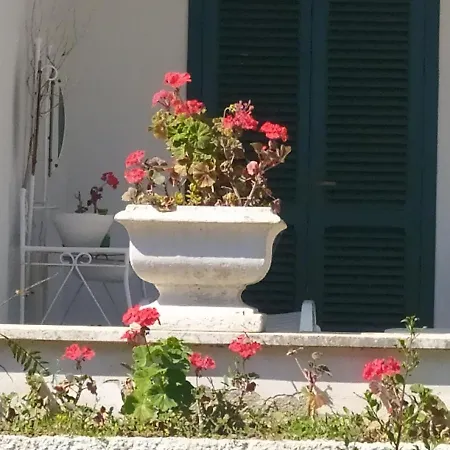 Apartment La Prima Casa