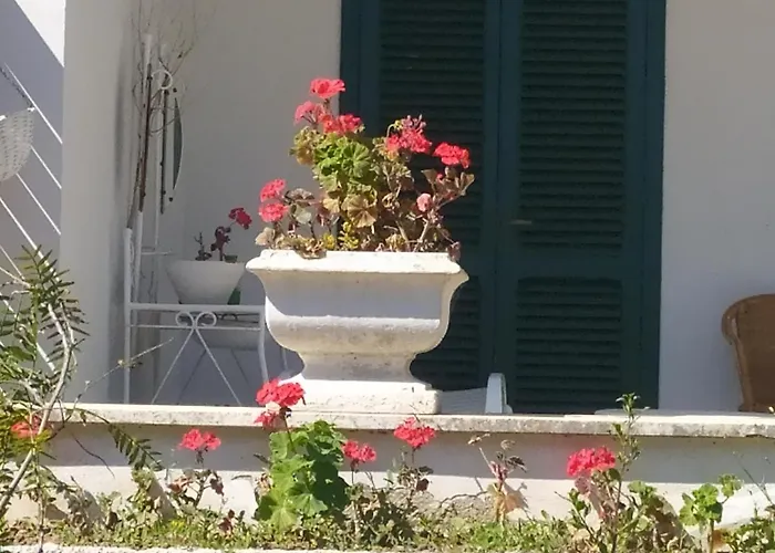 Lägenhet La Prima Casa