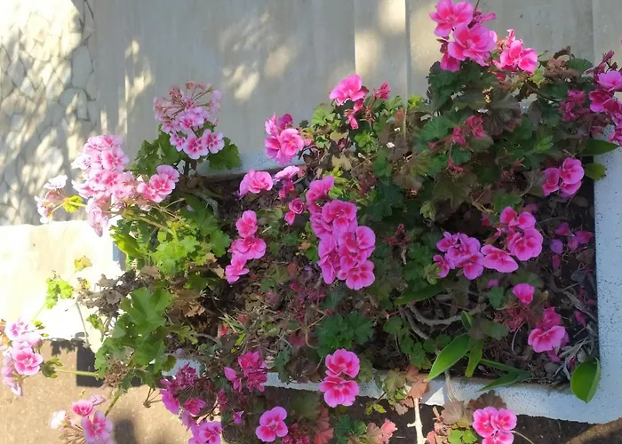 La Prima Casa Polignano a Mare